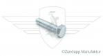 Hexagon screw